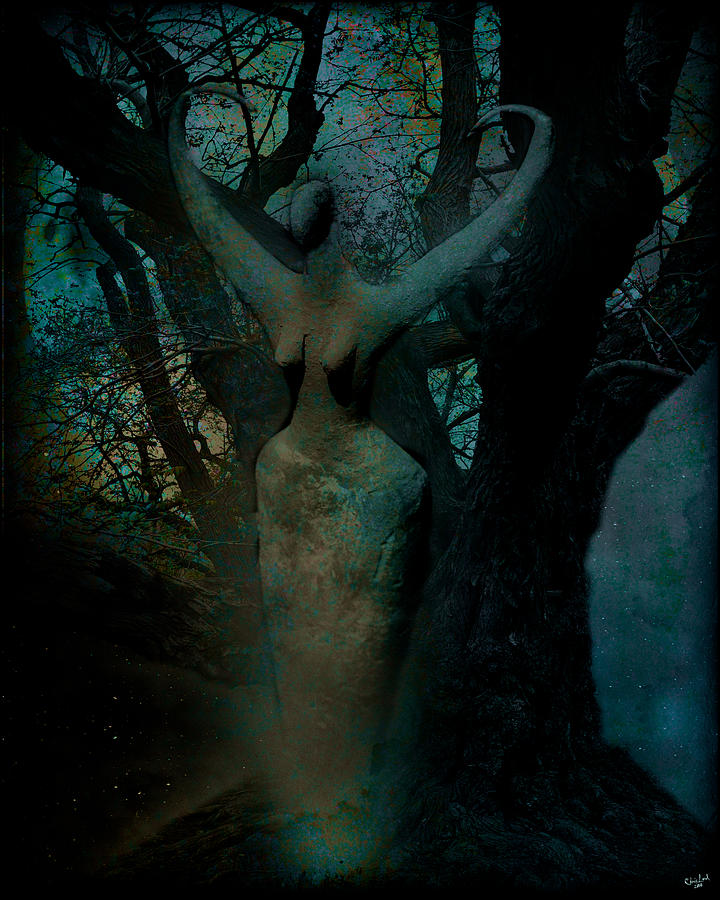 Nature Spirit Digital Art by Chris Lord