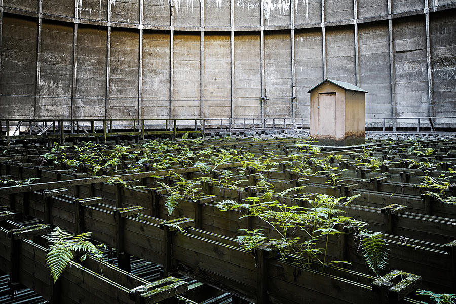 Nature takes back - inside cooling tower Photograph by Dirk Ercken