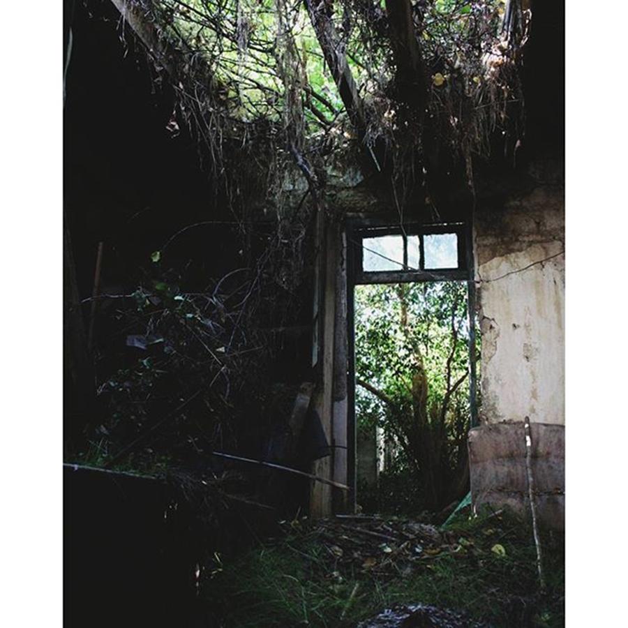 Nature Photograph - Nature Took Over This Abandoned House by Alexandros Georgiou