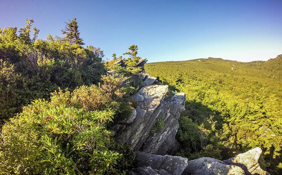 Nature Trail Scenes To Calloway Peak North Carolina Photograph by Alex Grichenko