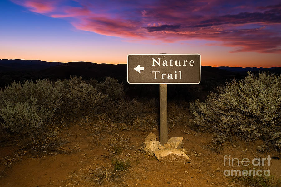 Nature Trail Sign at Sunrise Photograph by Bryan Mullennix