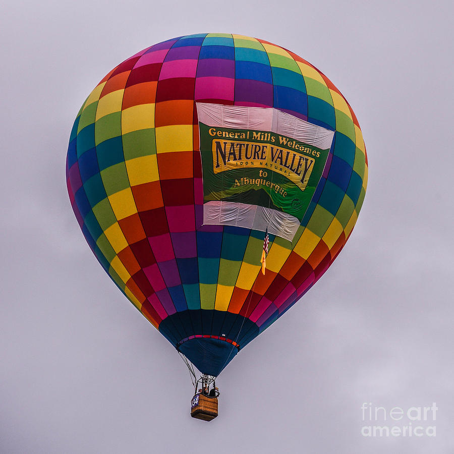 Nature Valley Balloon Photograph by Grace Grogan