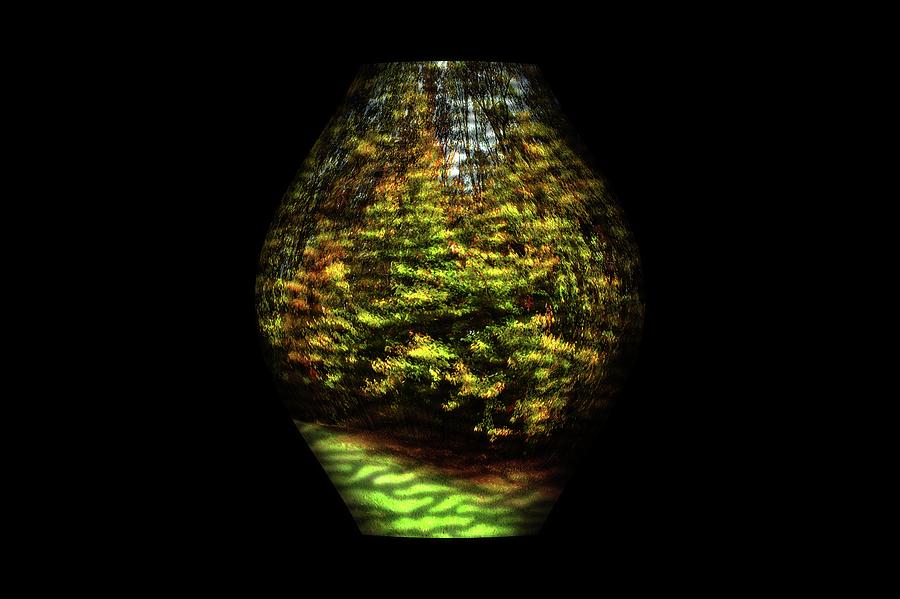 Nature Vase 1 Photograph by Angie Tirado