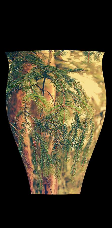 Nature Vase 3 Photograph by Angie Tirado