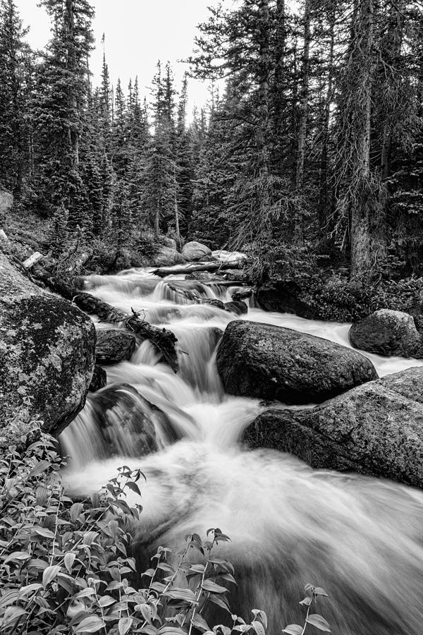 Nature Waterworks in Black and White Photograph by James BO Insogna