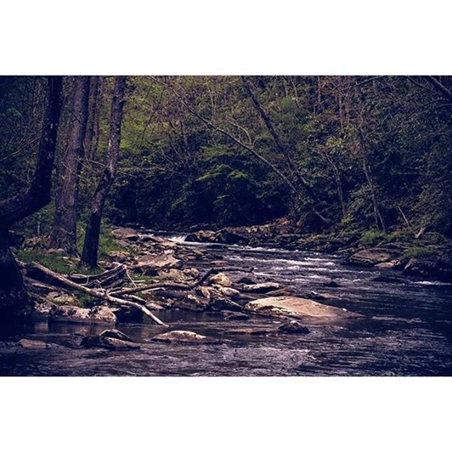 Creek Photograph - #naturephotography #outdoors #creek by Jamie Cook
