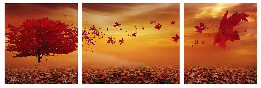 Fall Photograph - Natures Art by Lourry Legarde
