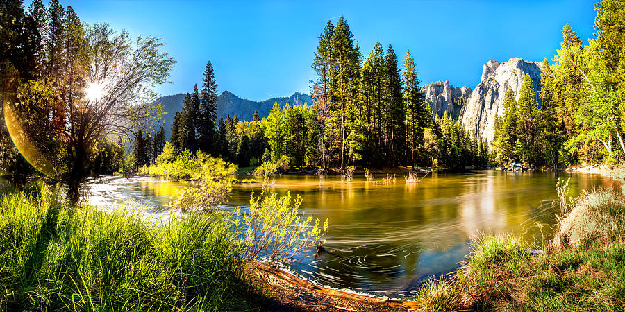Yosemite National Park Photograph - Natures Awakening by Az Jackson