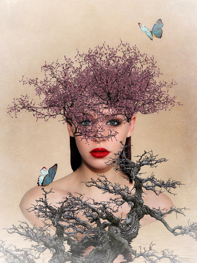Surrealism Photograph - Natures Beauty by Sharon Lisa Clarke