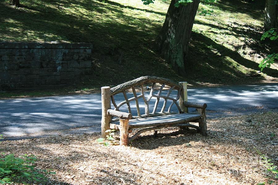 Natures Bench Photograph by John Telfer