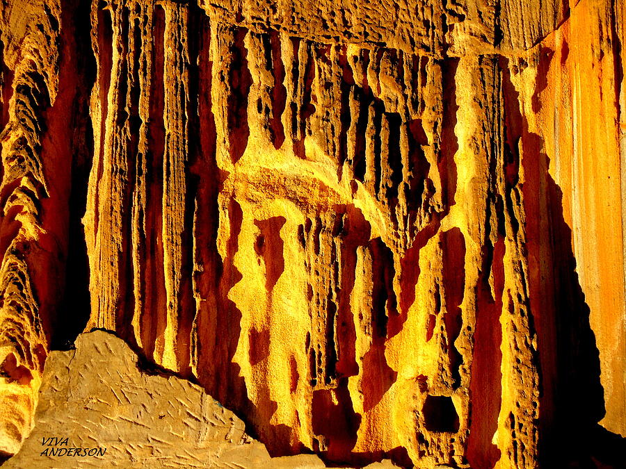 Natures Cathedral - Sydney Sandstone Photograph by VIVA Anderson