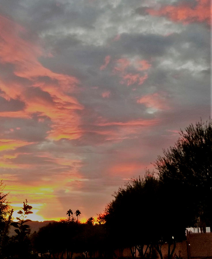 Natures Coloring Book Over Palm Desert Photograph by Jay Milo