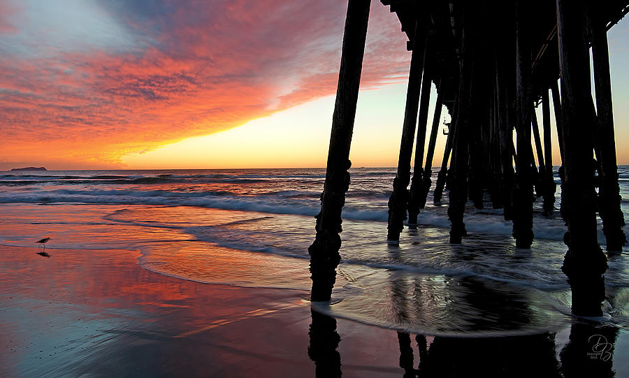 Natures Colors - Pacific Coast Sunset Photograph by Debra Boucher