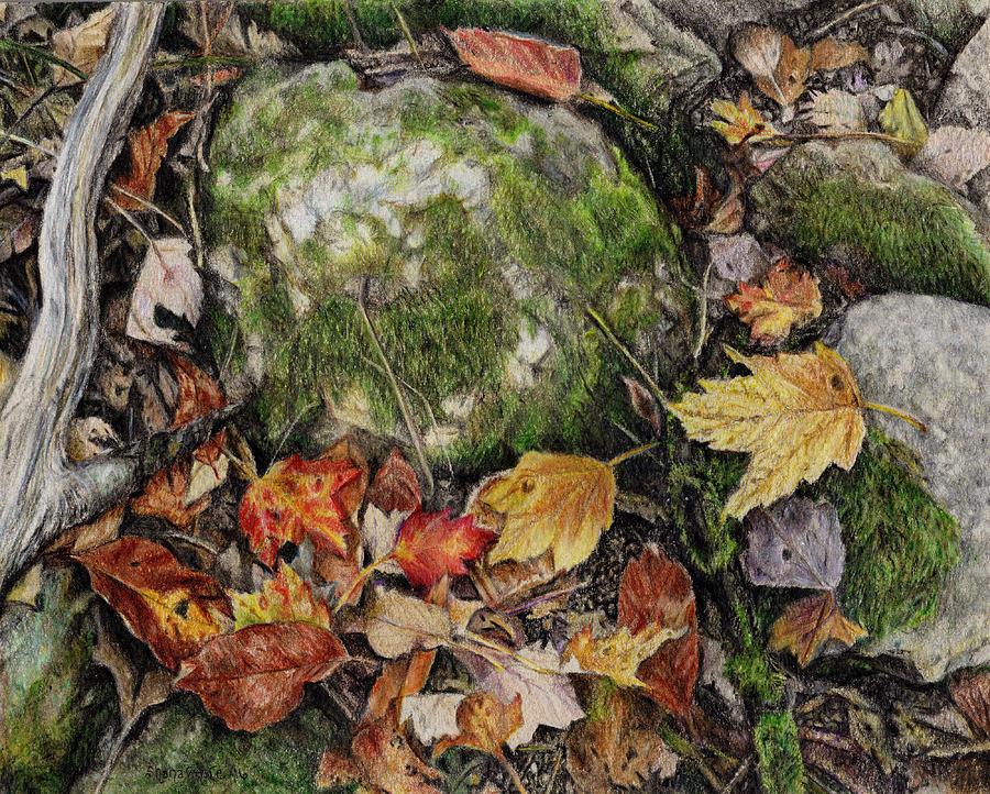 Natures Confetti Drawing by Shana Rowe Jackson