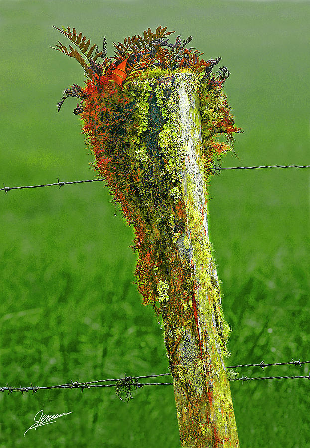 Natures Fence Post Photograph by Phil Jensen