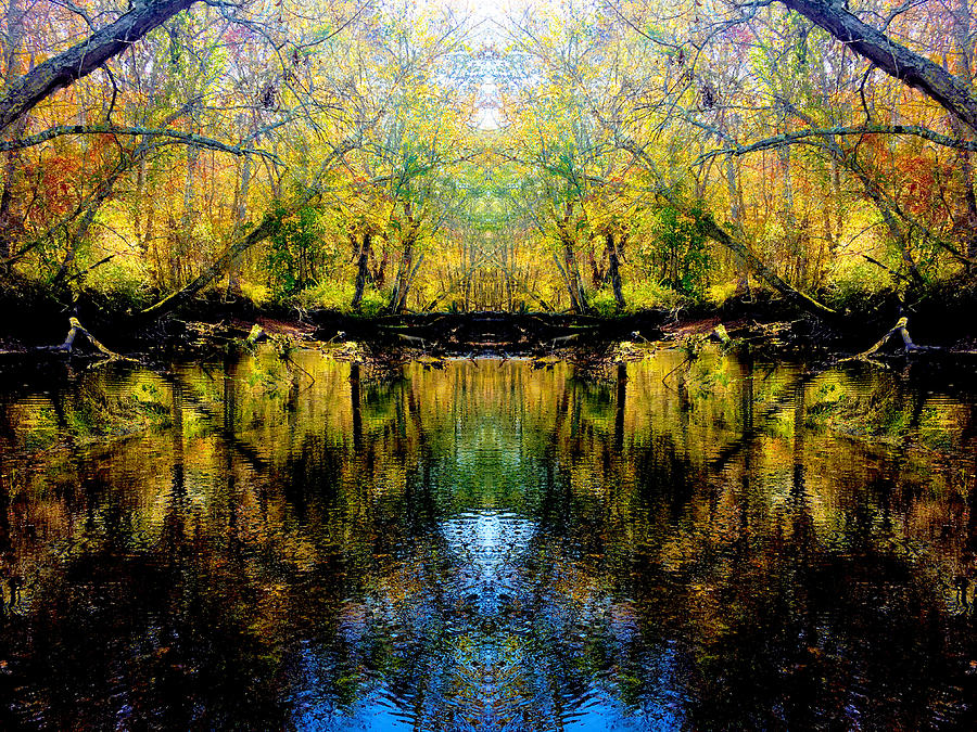 Natures Gate by JimO Ogilvie Natures Gate by JimO Ogilvie