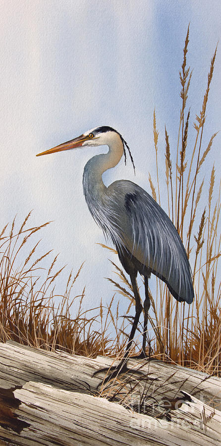 Heron Painting - Natures Gentle Beauty by James Williamson