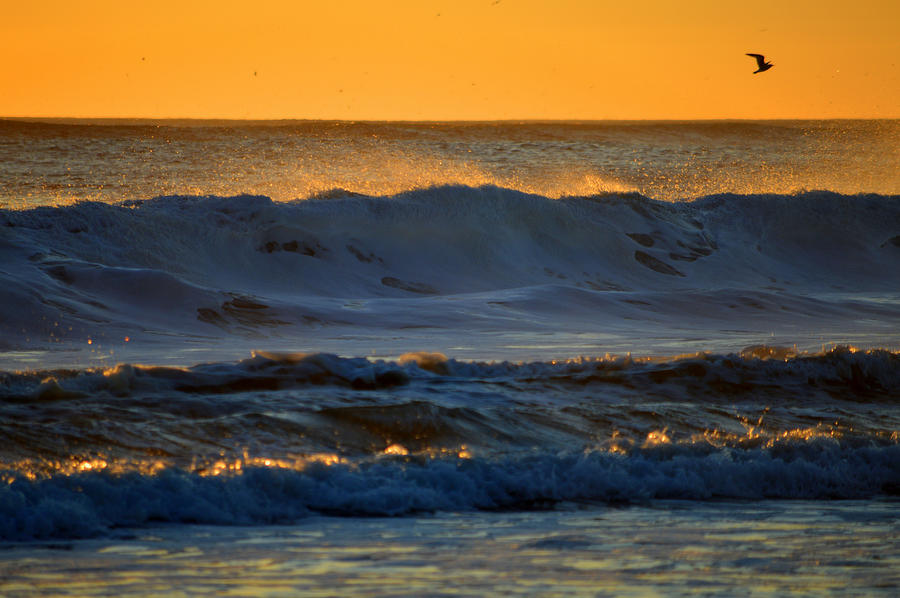 Ocean Photograph - Natures Gold #1 by Dianne Cowen Cape Cod Photography