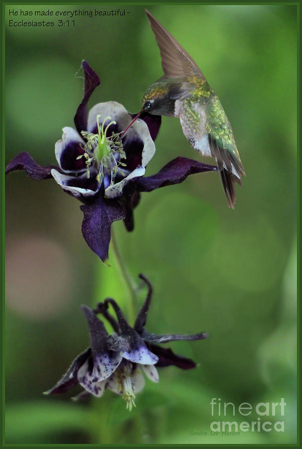 Natures Inspiration Photograph by Sandra Huston