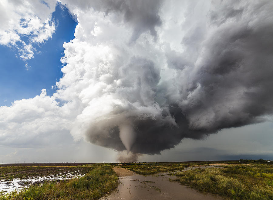 Sky Photograph - Natures Irony by Brandon Sullivan Sky Photograph - Natures Irony by Brandon Sullivan