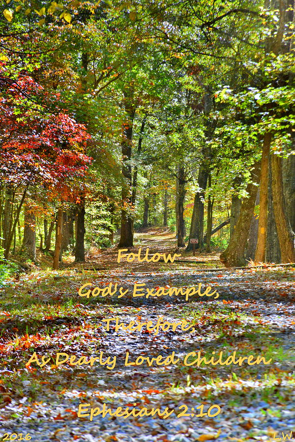 Natures Pathway Ephesians 2 10 Photograph by Lisa Wooten - Fine Art America