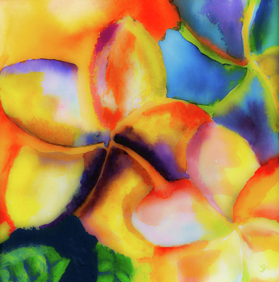 Flower Painting - Natures Pinwheels by Stephen Anderson