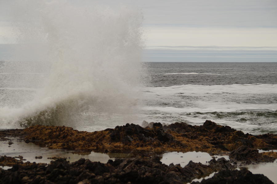 Cape Perpetua Photograph - Natures Power by Beth Collins