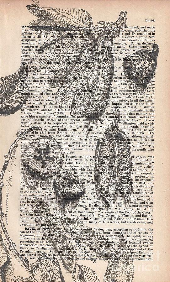 Seed Pods Drawn on Antique Pages  1884 Cycopedia Painting by Maria Hunt