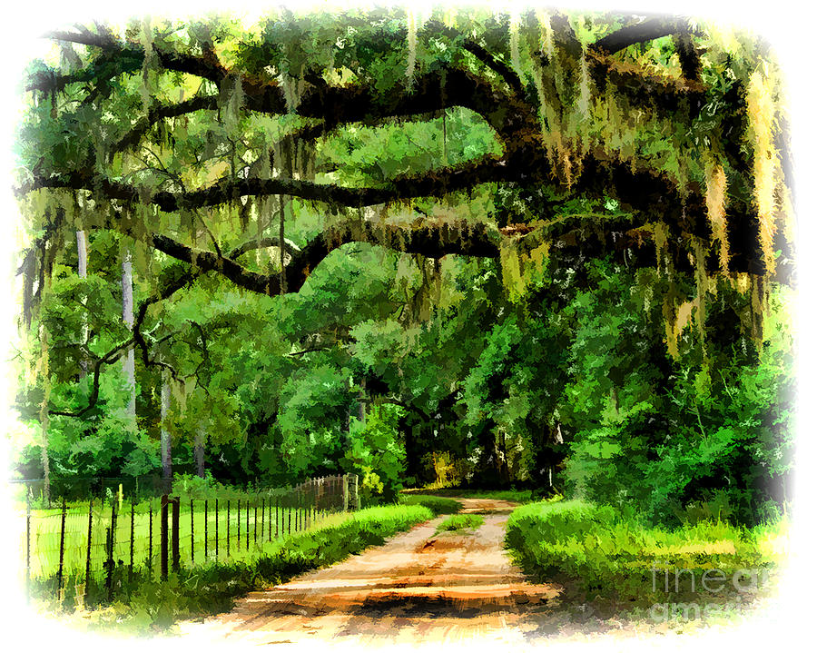 Nature's Road Photograph by Irene Dowdy - Fine Art America