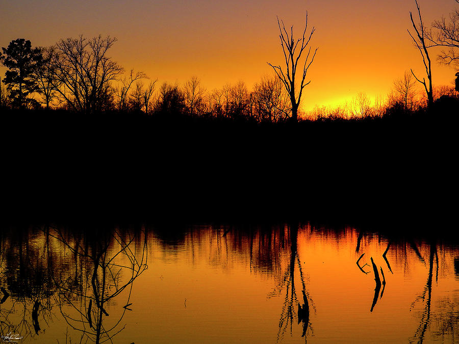 Sunset Photograph - Natures Rorschach Test by Phil And Karen Rispin