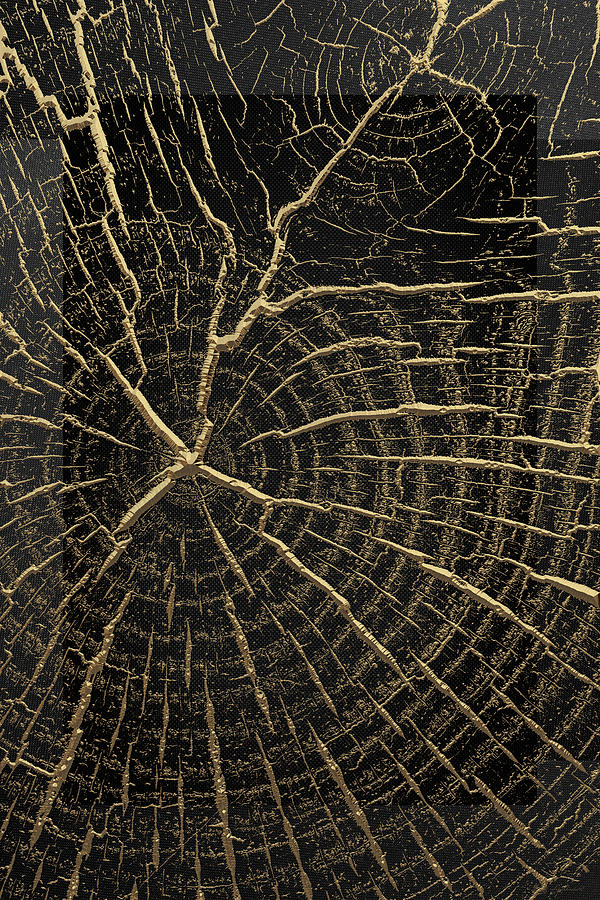 Natures Secret Code - The Wood Grain Message #1 Digital Art by Serge Averbukh