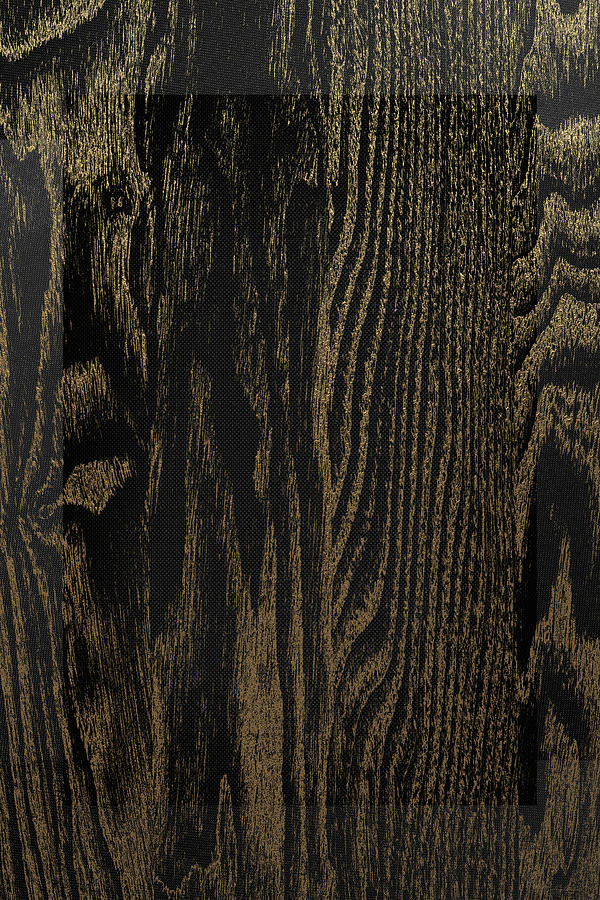 Natures Secret Code - The Wood Grain Message #2 Digital Art by Serge Averbukh