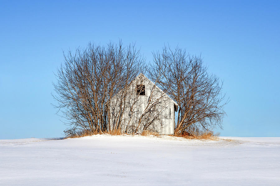 Natures Shed Photograph by Todd Klassy