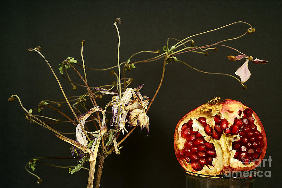 Naturmort With Pomegranate. Photograph by Alexander Vinogradov
