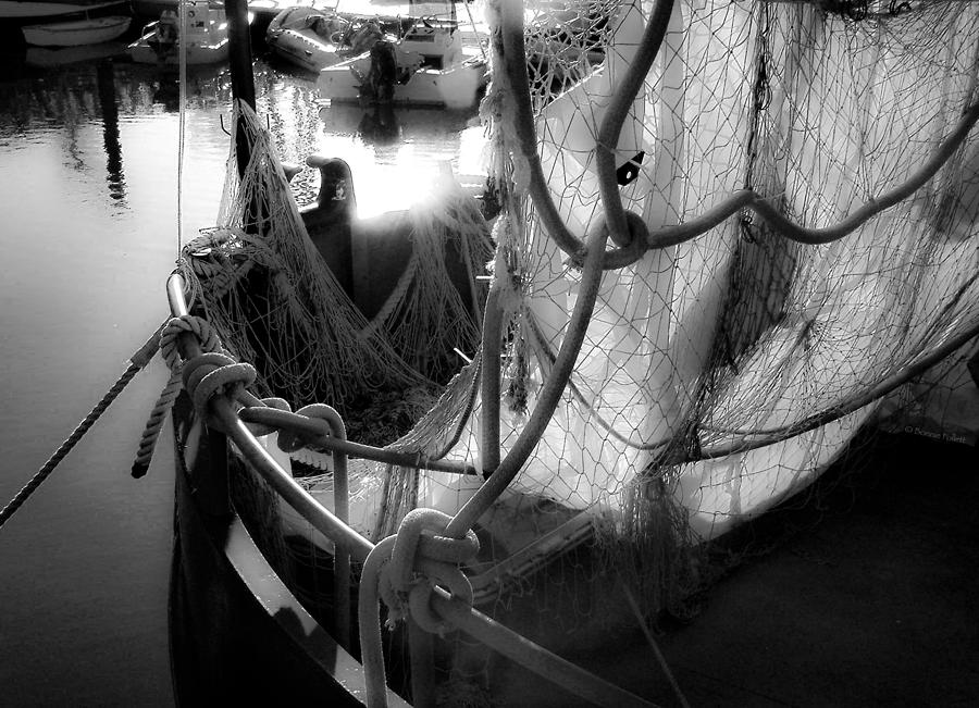 Nautical Dreams BW Photograph by Bonnie Follett