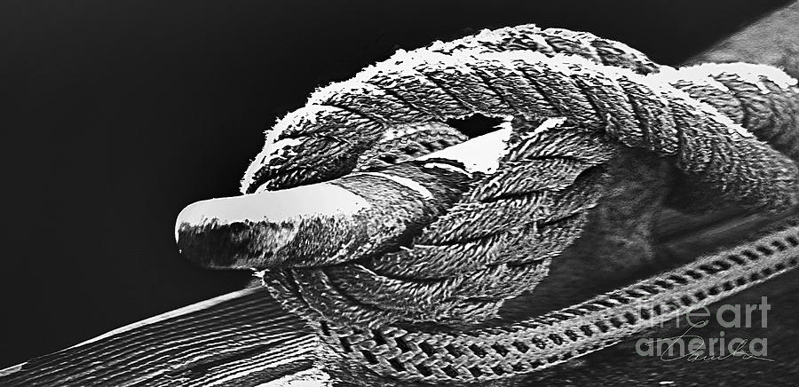 Nautical knot Photograph by Danuta Bennett
