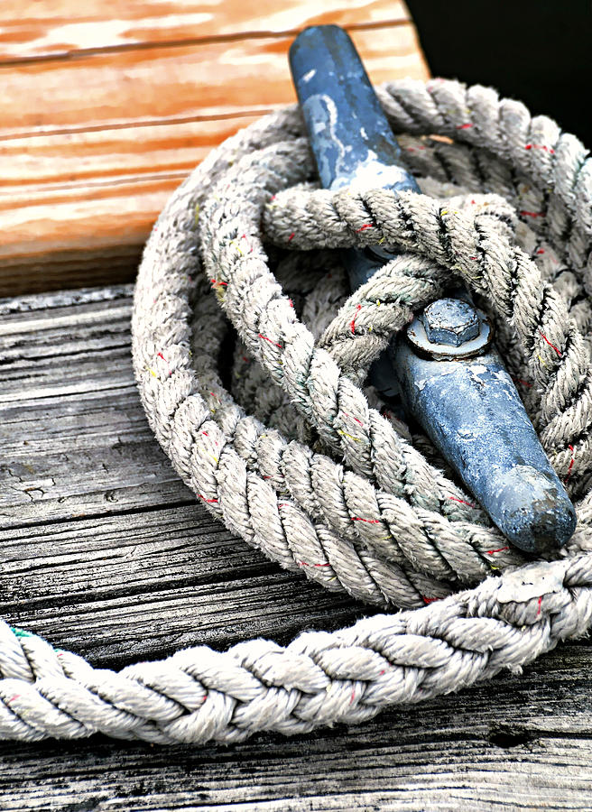 Nautical Knot Photograph by Diana Angstadt