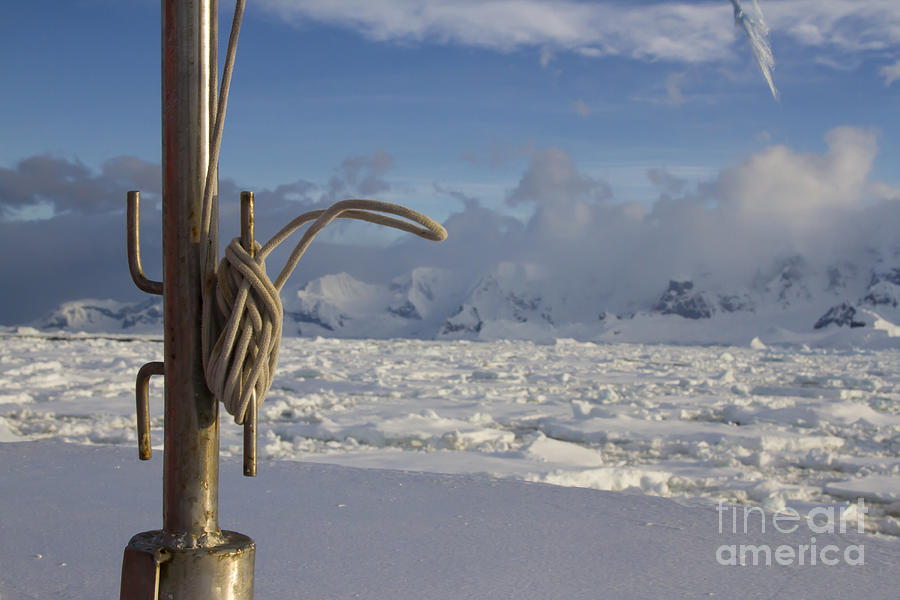 Nautical knots cruising Antarctica Photograph by Karen Foley