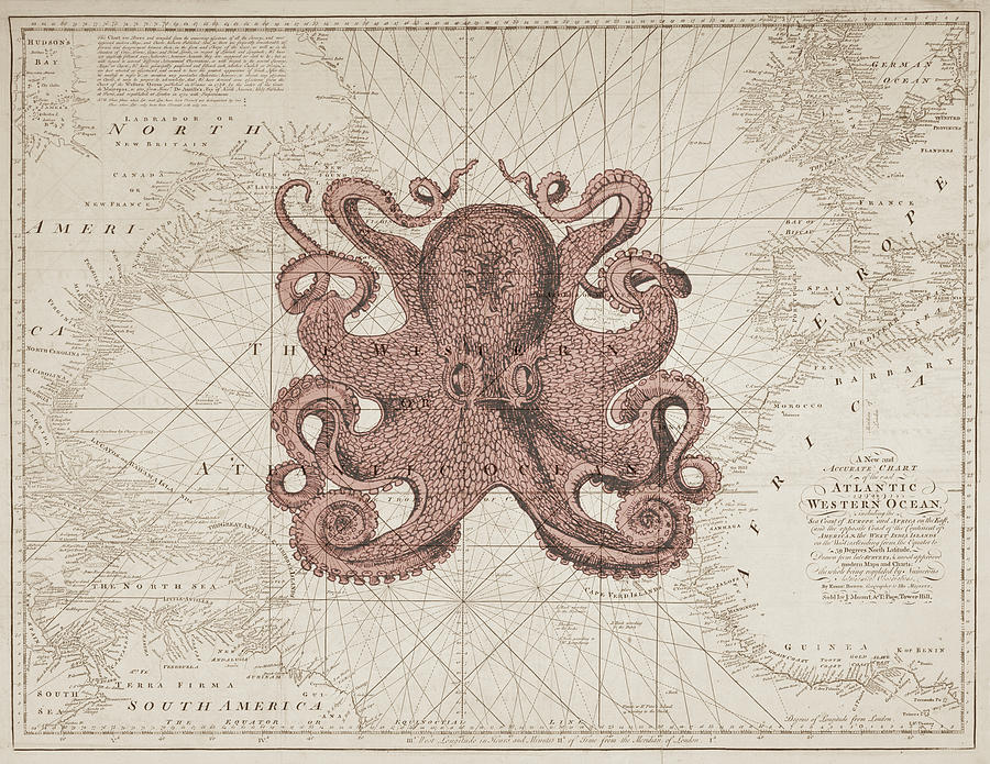 Octopus Digital Art - Nautical Octopus Sea Chart by Erin Cadigan