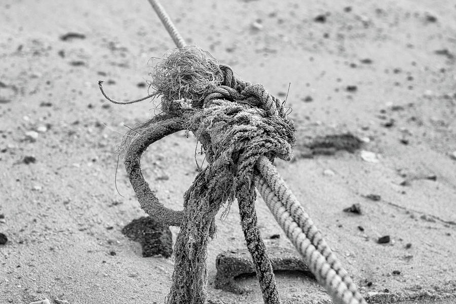 Nautical Rope Photograph by Georgia Clare