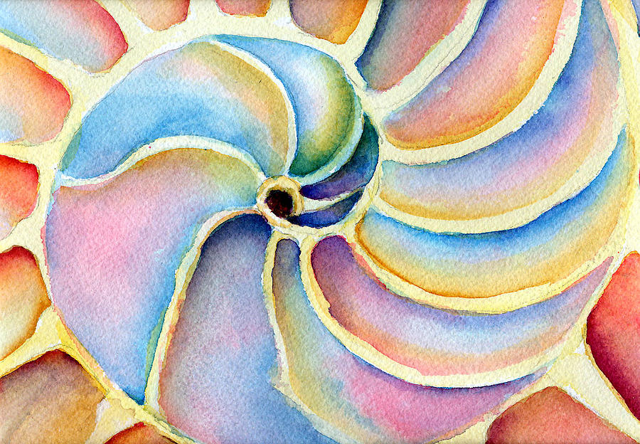 Nautilis Painting by Dorothy Nalls - Fine Art America