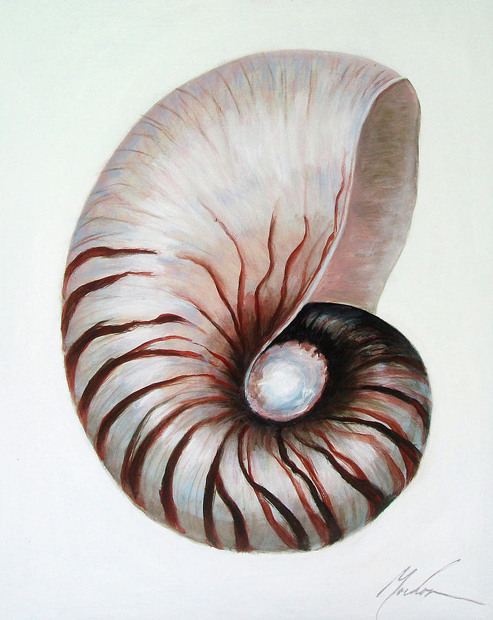 Nautilus Painting by Brenda Gordon