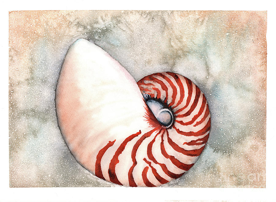 Nautilus  Painting by Hilda Wagner