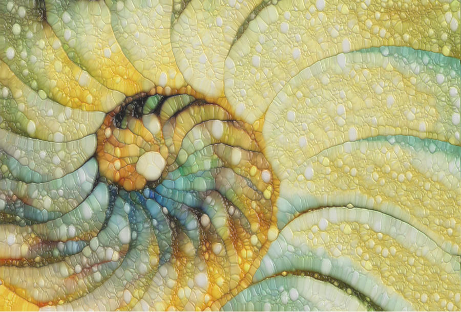 Nautilus Painting by Jack Zulli