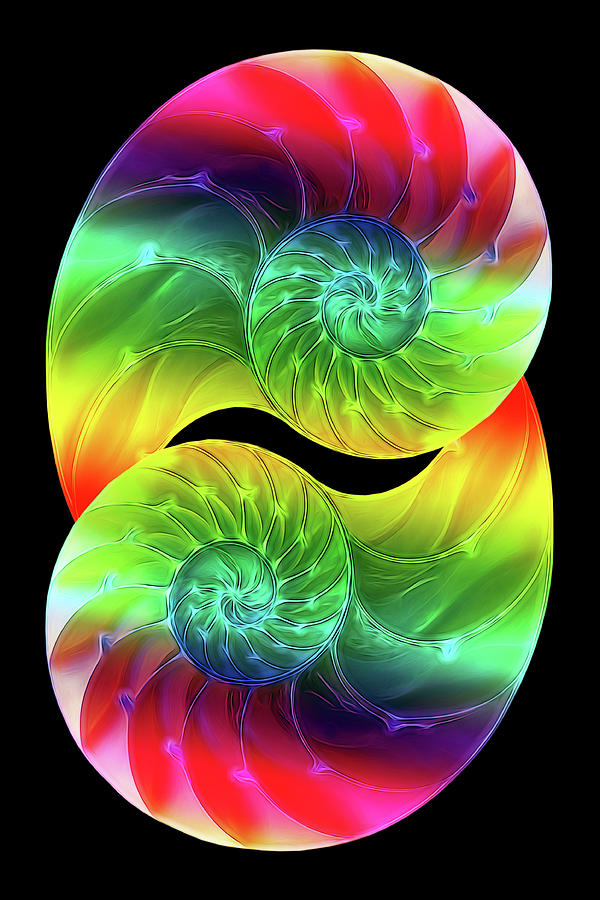 Abstract Photograph - Nautilus Rainbow Vertical by Gill Billington