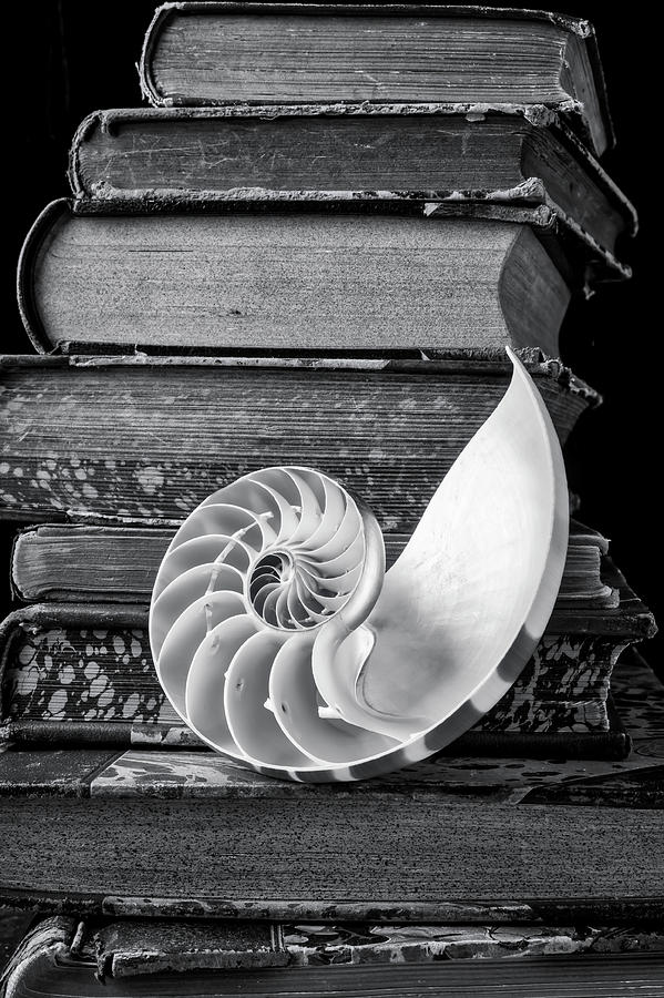Nautilus Shell And Old Books Photograph by Garry Gay