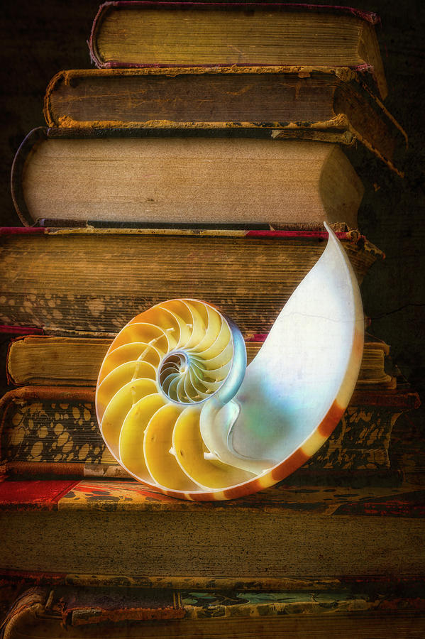 Nautilus Shell And Stacked Old Books Photograph by Garry Gay