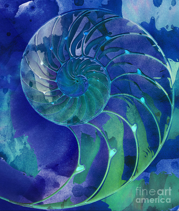 Nautilus Shell Blue Green Digital Art by Clare Bambers