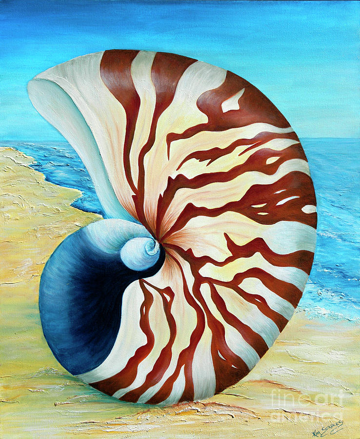 Nautilus Shell By The Sea Painting By Kim Staples