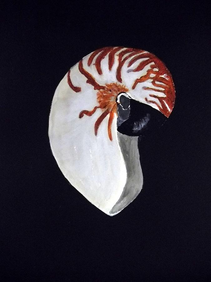 Nautilus Shell Painting By Cathy Jourdan